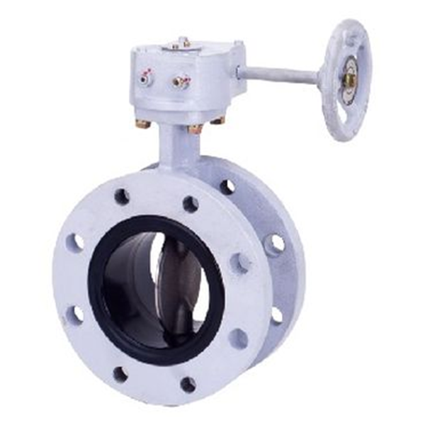 KITZ開滋閥門、日本進口閥門G-16DJE-150A