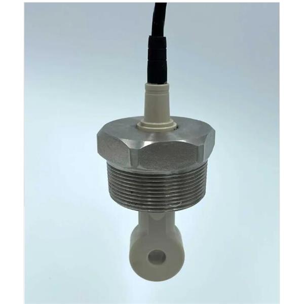 法國Sensorex 過程石墨電導率傳感器CS300-B-2-N-M-A