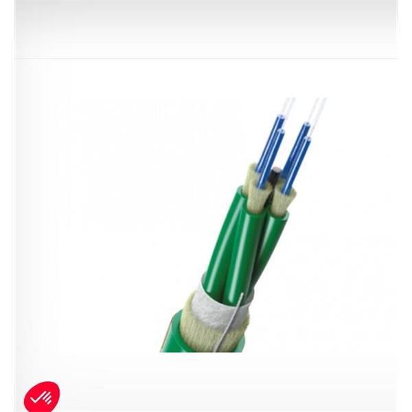 英國Scaime光纖溫度傳感器OBTS-100